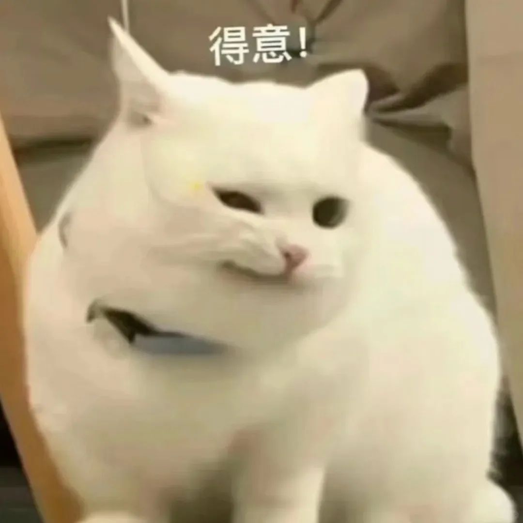 WPS在线表格大变身!打造你的专属问卷调查神器,让数据说话更动听!