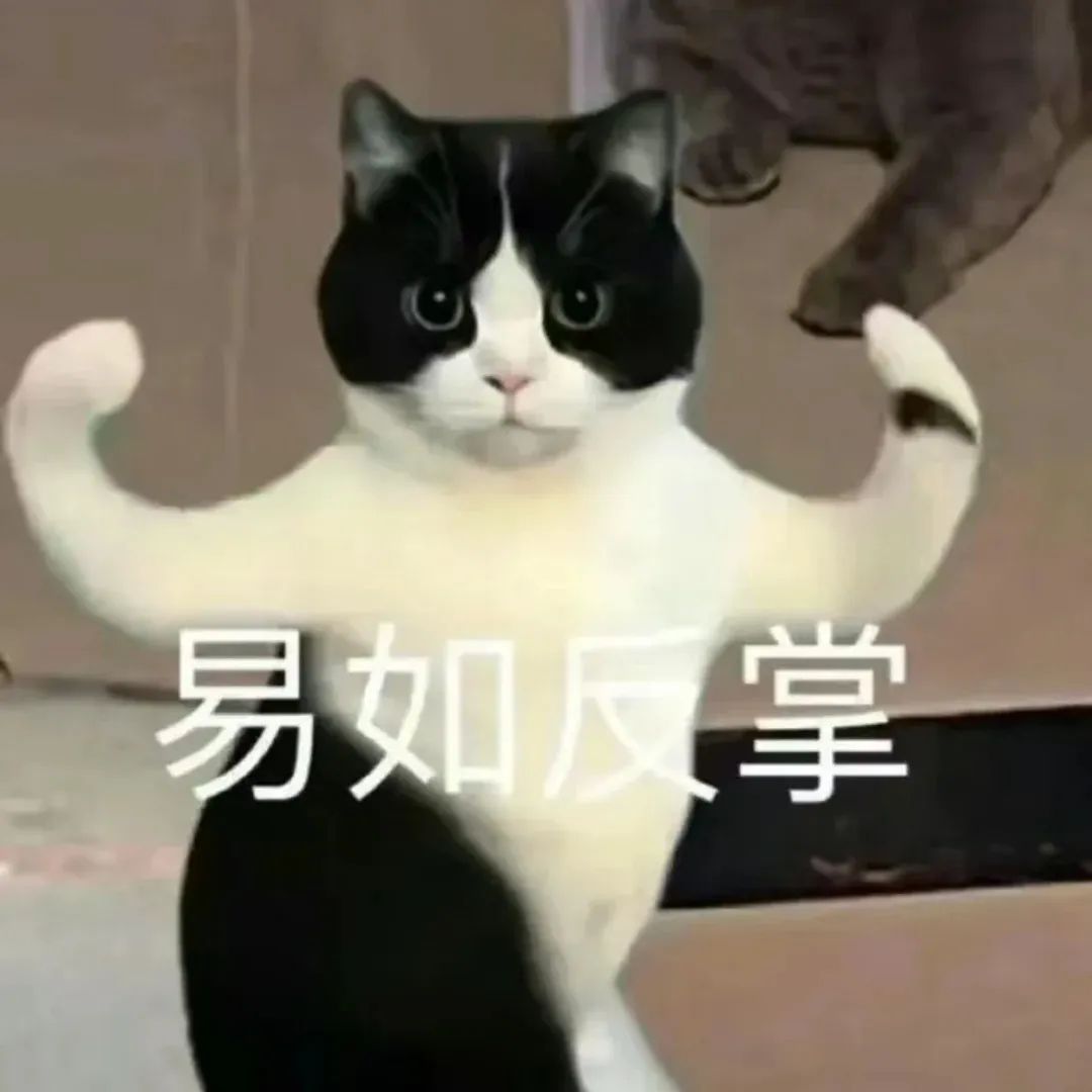 一招搞定翻译难题,职场高手就是你!